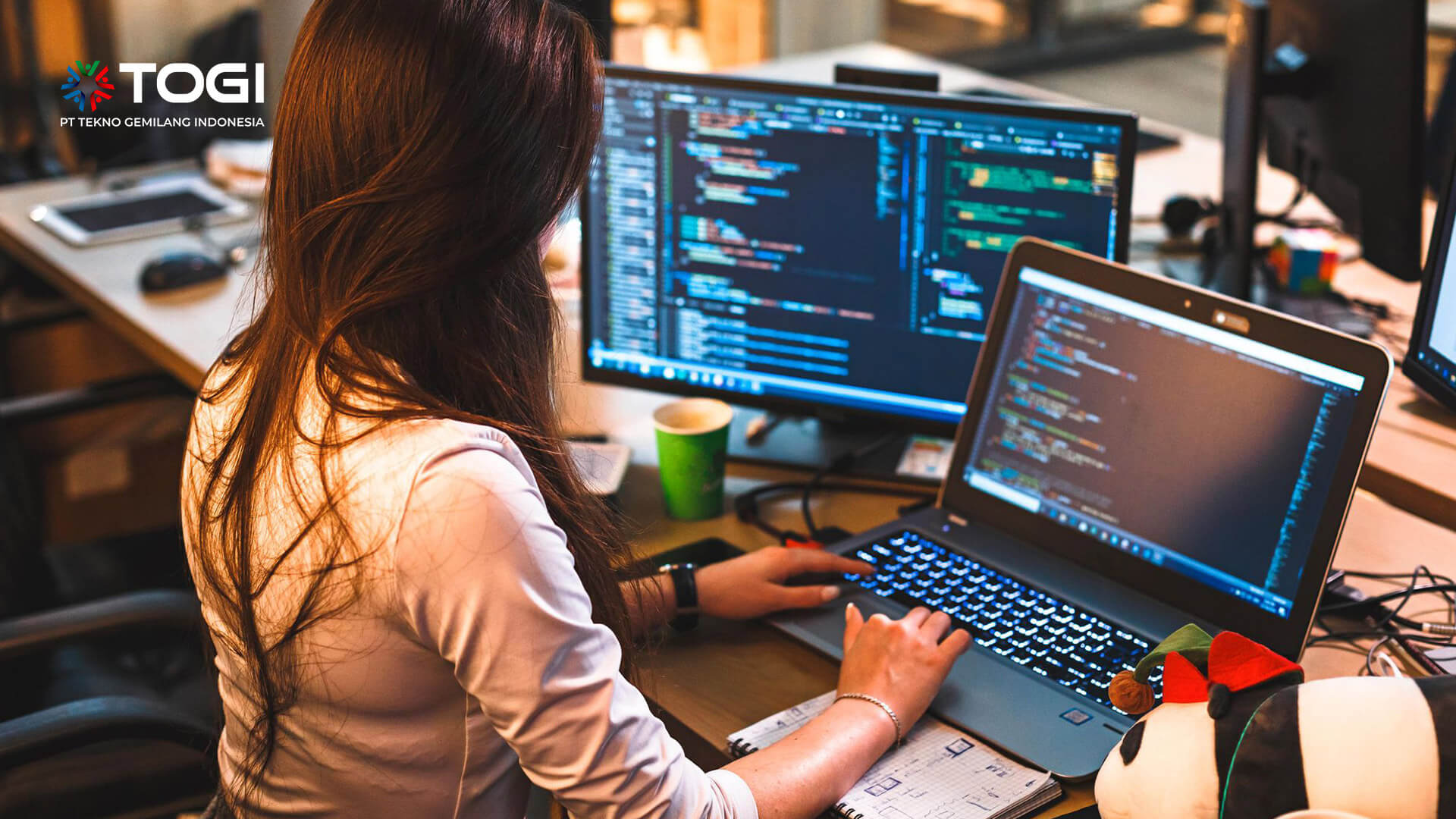 Skill Front End Developer