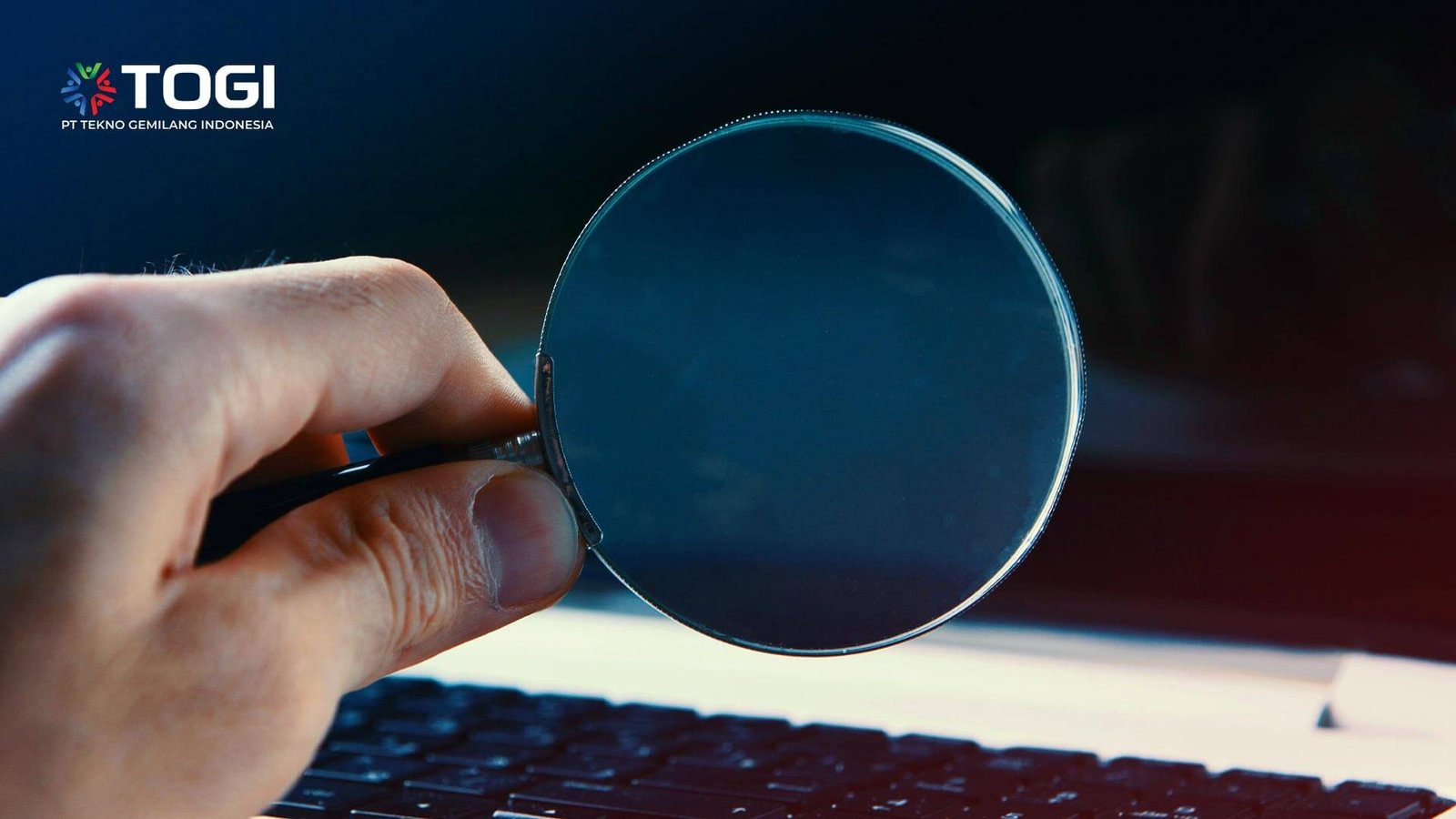 IT Executive Search